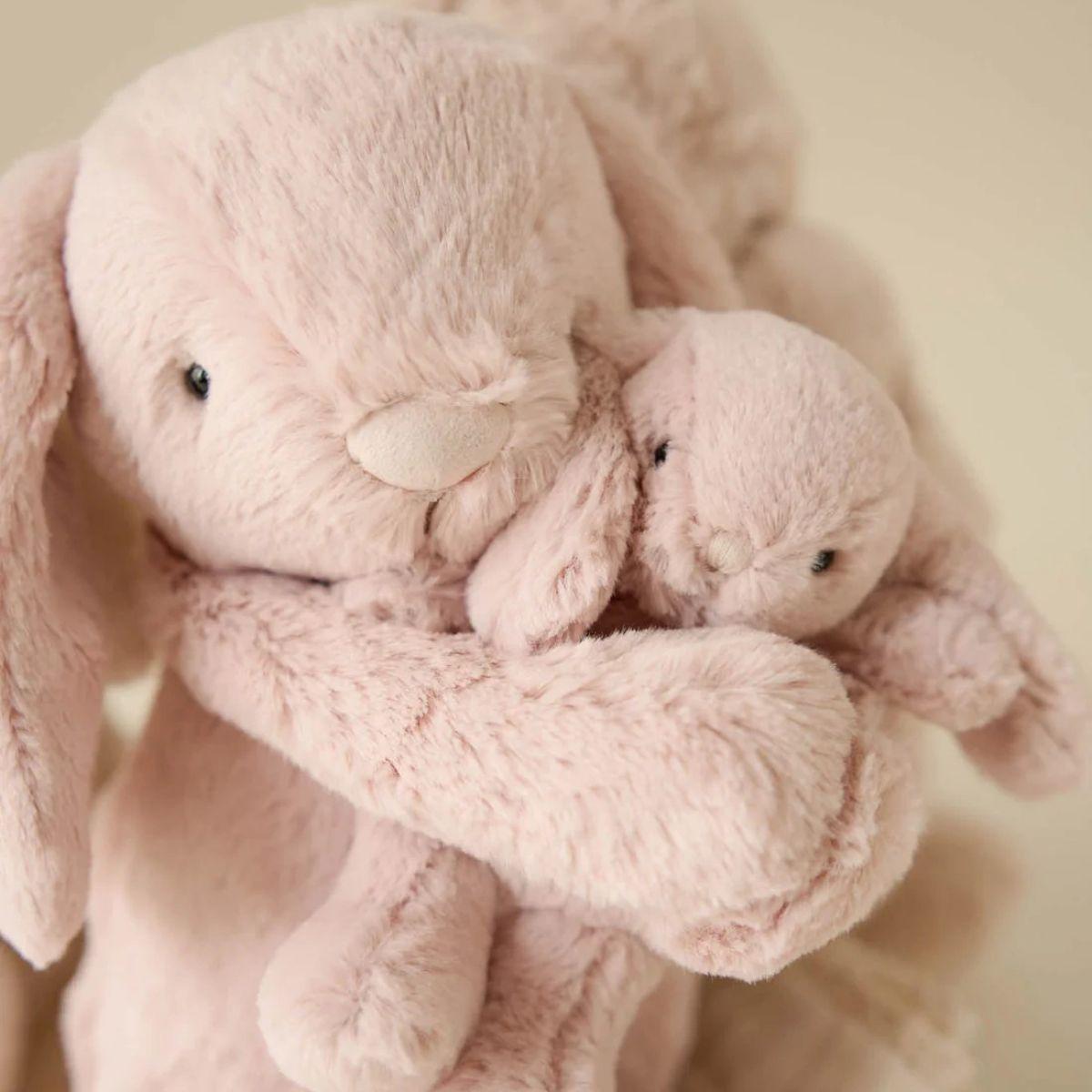 Snuggle Bunnies Frankie the Hugging Bunny - Blossom | Mothercare 👶